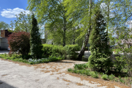 Сдается офис, 24 м²